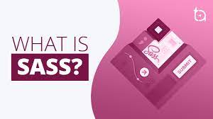 Course-5: SASS logo image